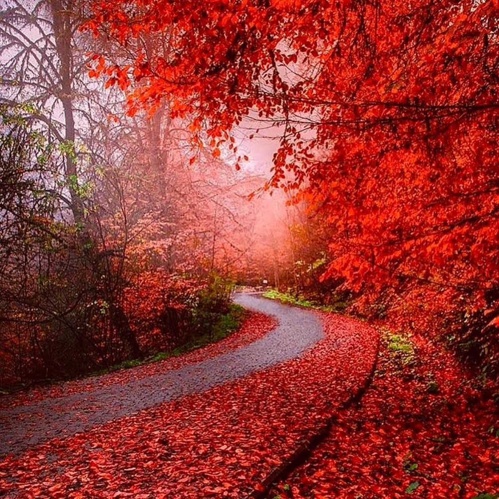 Meet your Posher, Pamela